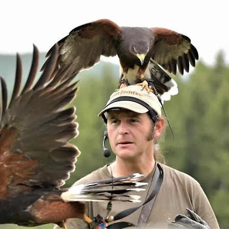 Дом отдыха Eifel Ferienhaus Mirjam