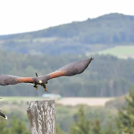 Eifel Ferienhaus Mirjam Мандершайд