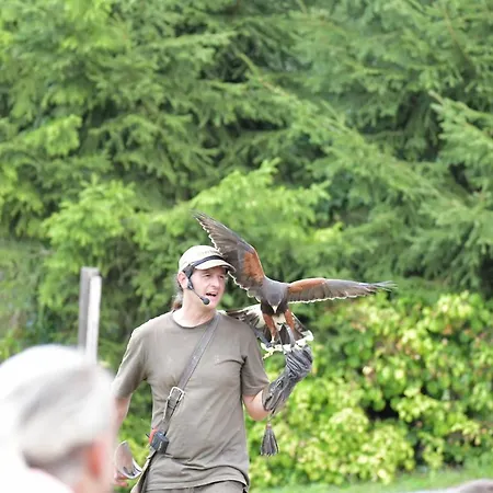 Дом отдыха Eifel Ferienhaus Mirjam Мандершайд