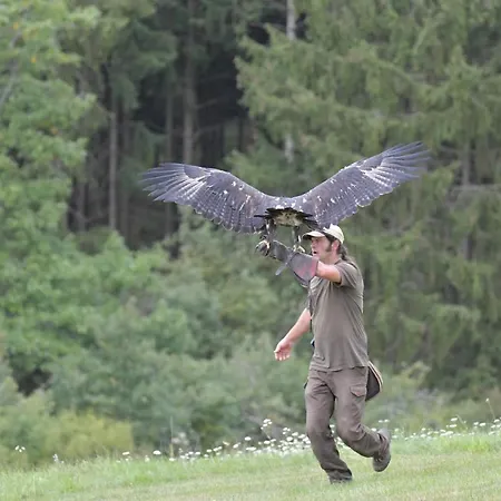 Eifel Ferienhaus Mirjam * Мандершайд