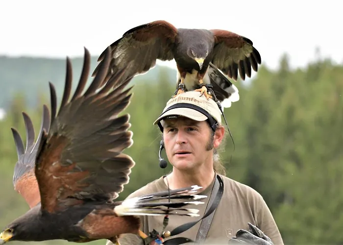 Nyaraló Eifel Ferienhaus Mirjam