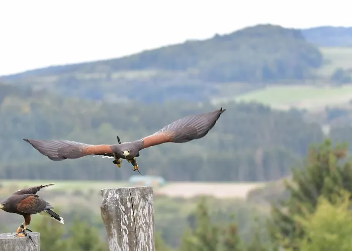 Eifel Ferienhaus Mirjam Manderscheid
