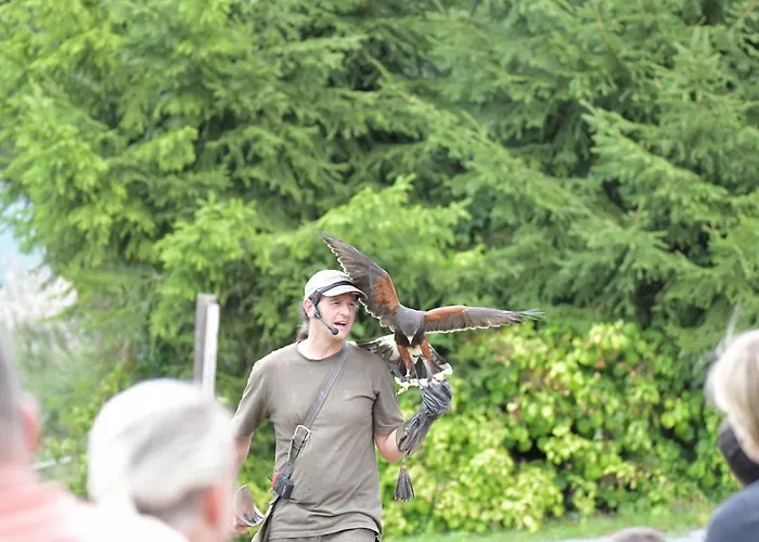 Nyaraló Eifel Ferienhaus Mirjam Manderscheid