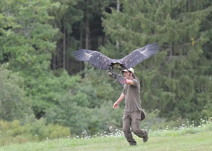 Eifel Ferienhaus Mirjam * Manderscheid