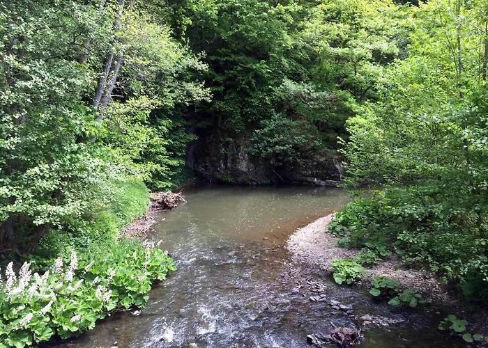 Eifel Ferienhaus Mirjam Nyaraló *